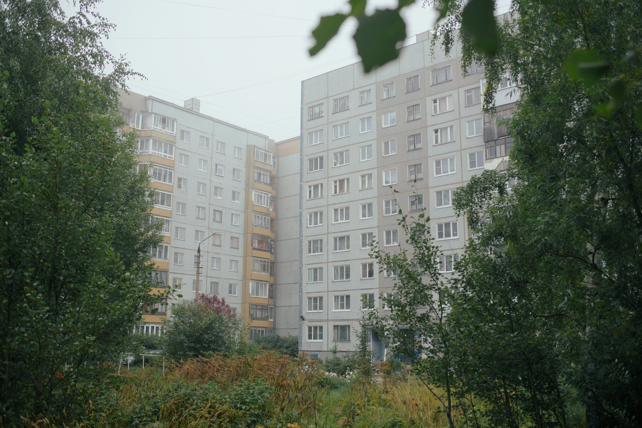 Knowledge Day... - My, Arkhangelsk, Fog, Silent, Silent Hill, The photo, Nine-storey building, , Longpost