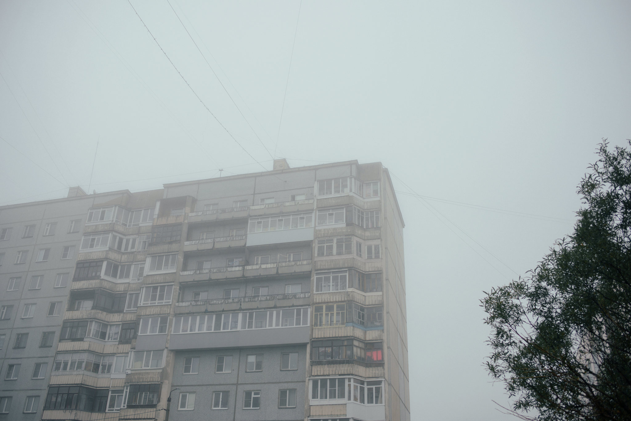 Knowledge Day... - My, Arkhangelsk, Fog, Silent, Silent Hill, The photo, Nine-storey building, , Longpost