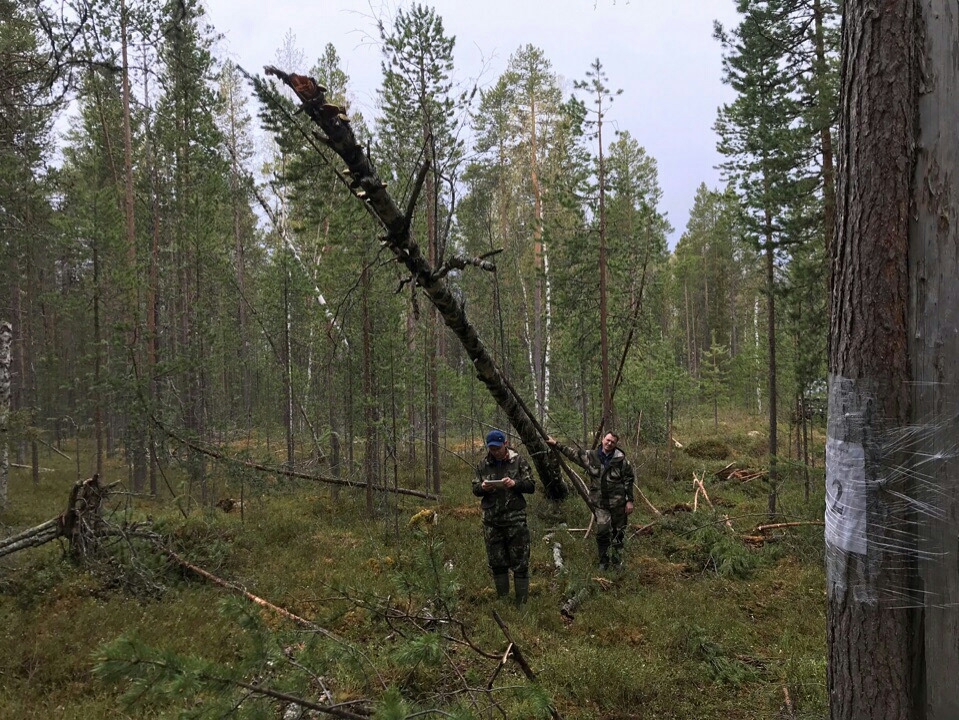 На Марфе не бывал — трофи не видал! - Моё, Дастер, УАЗ, Мурманск, GPS, Лебедка, Видео, Длиннопост, Renault Duster