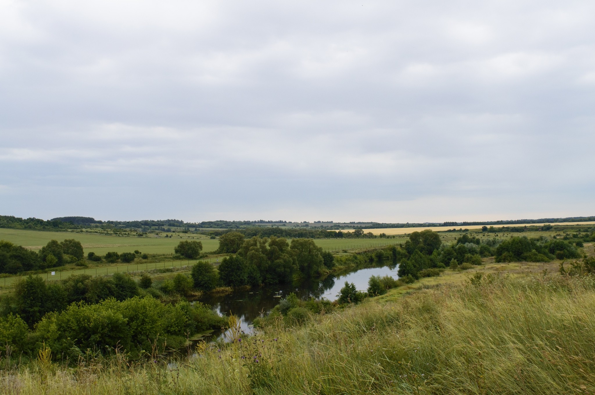 One summer day... - My, Nature, beauty of nature, Landscape, Flowers, River, Longpost