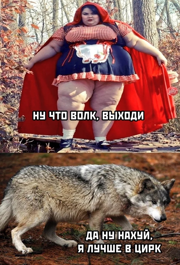 Little Red Riding Hood is not the same - Humor, Memes, Little Red Riding Hood, Wolf