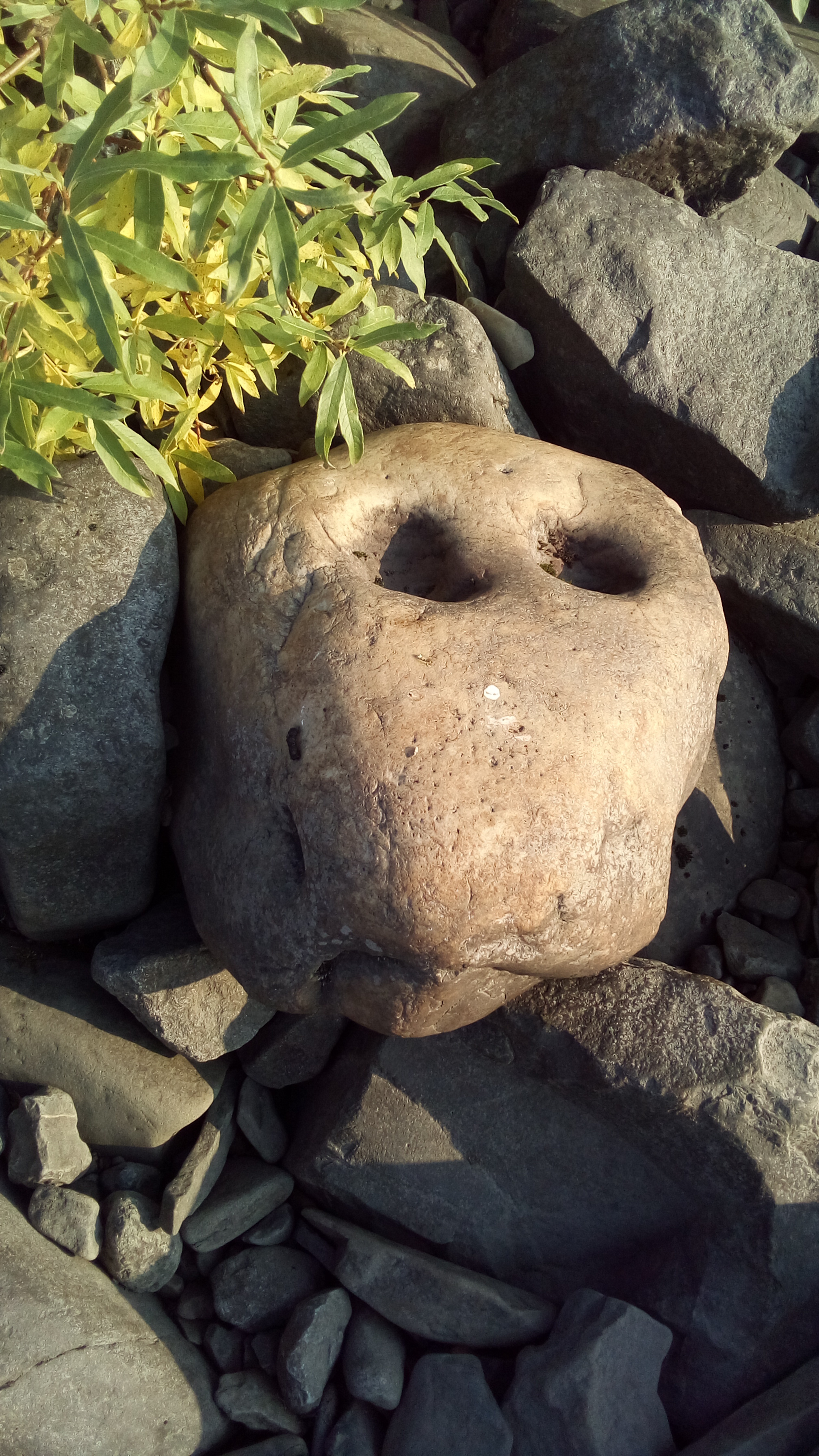 Sad stone. - My, A rock, Sadness, Fishing, The photo, Pareidolia