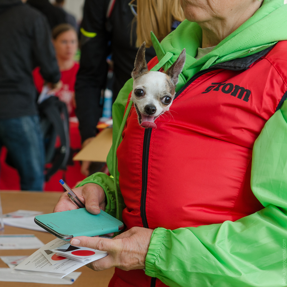 Autumn Thunder 2019. - My, Half marathon, Run, Announcement, Beginning photographer, Longpost