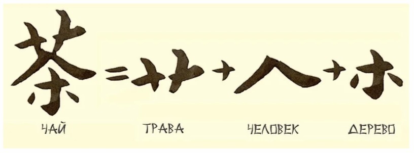 Чайные плантации. Колодец дракона - Моё, Китай, Чай, Зеленый чай, Ханчжоу, Видео, Длиннопост