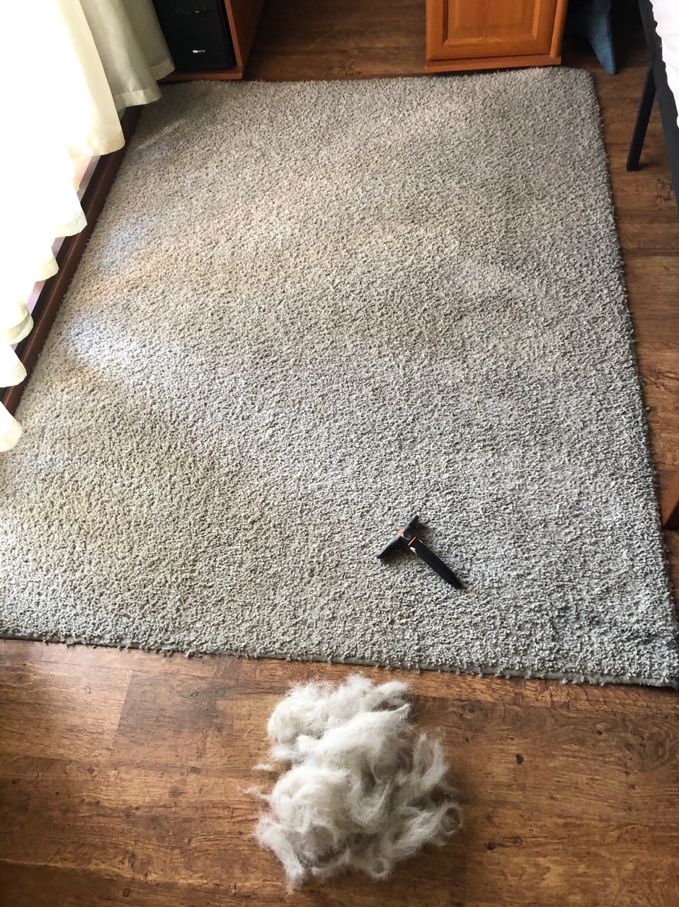 Cleaned off what the vacuum cleaner refused. Don't get dogs. - My, Pets, Hatred, Longpost