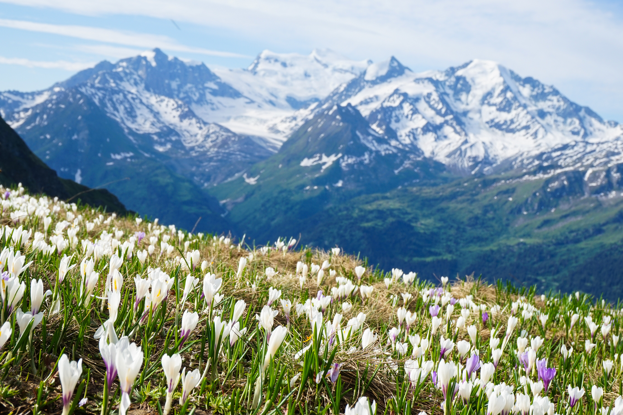 Hike the Haute Route or from Mont Blanc to the Matterhorn. - My, Hike, Tourism, Switzerland, The mountains, Longpost