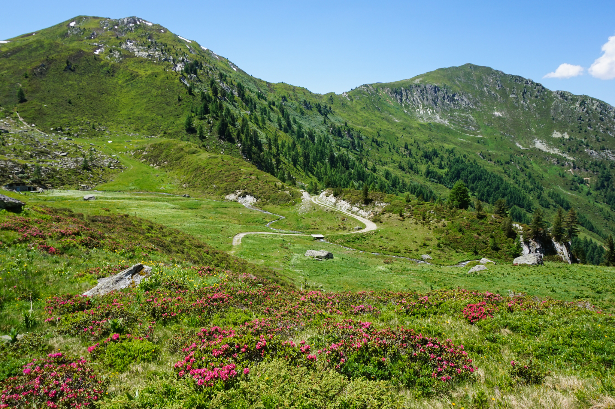 Hike the Haute Route or from Mont Blanc to the Matterhorn. - My, Hike, Tourism, Switzerland, The mountains, Longpost