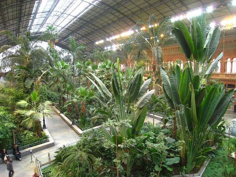 Green station in Madrid. - Madrid, Garden, Plants, Longpost