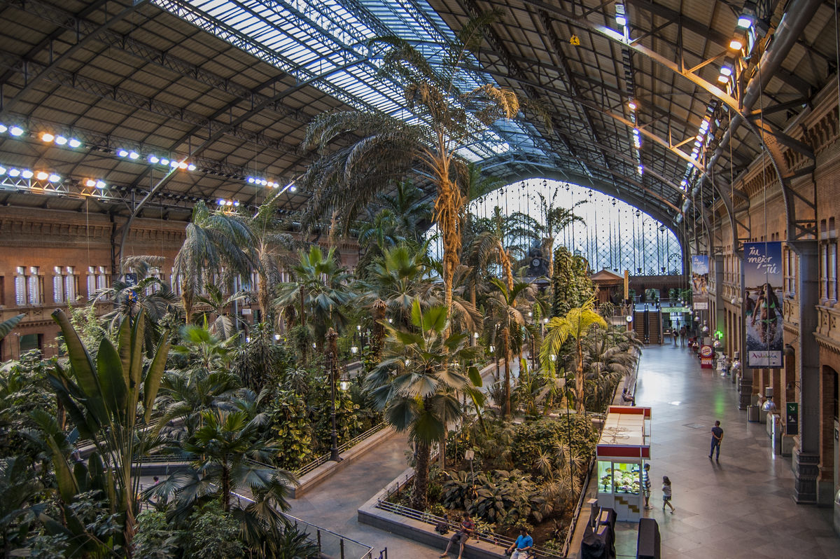 Green station in Madrid. - Madrid, Garden, Plants, Longpost