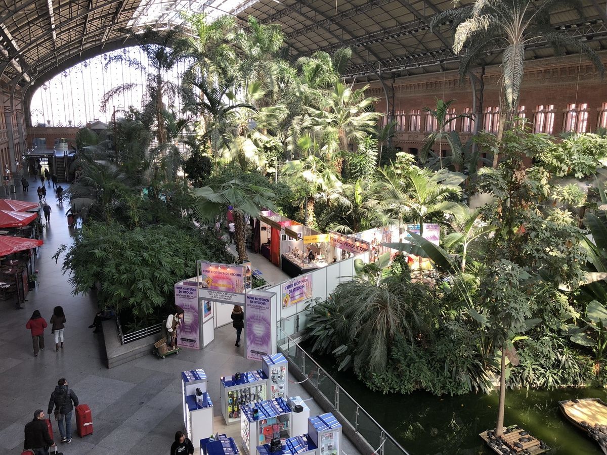 Green station in Madrid. - Madrid, Garden, Plants, Longpost