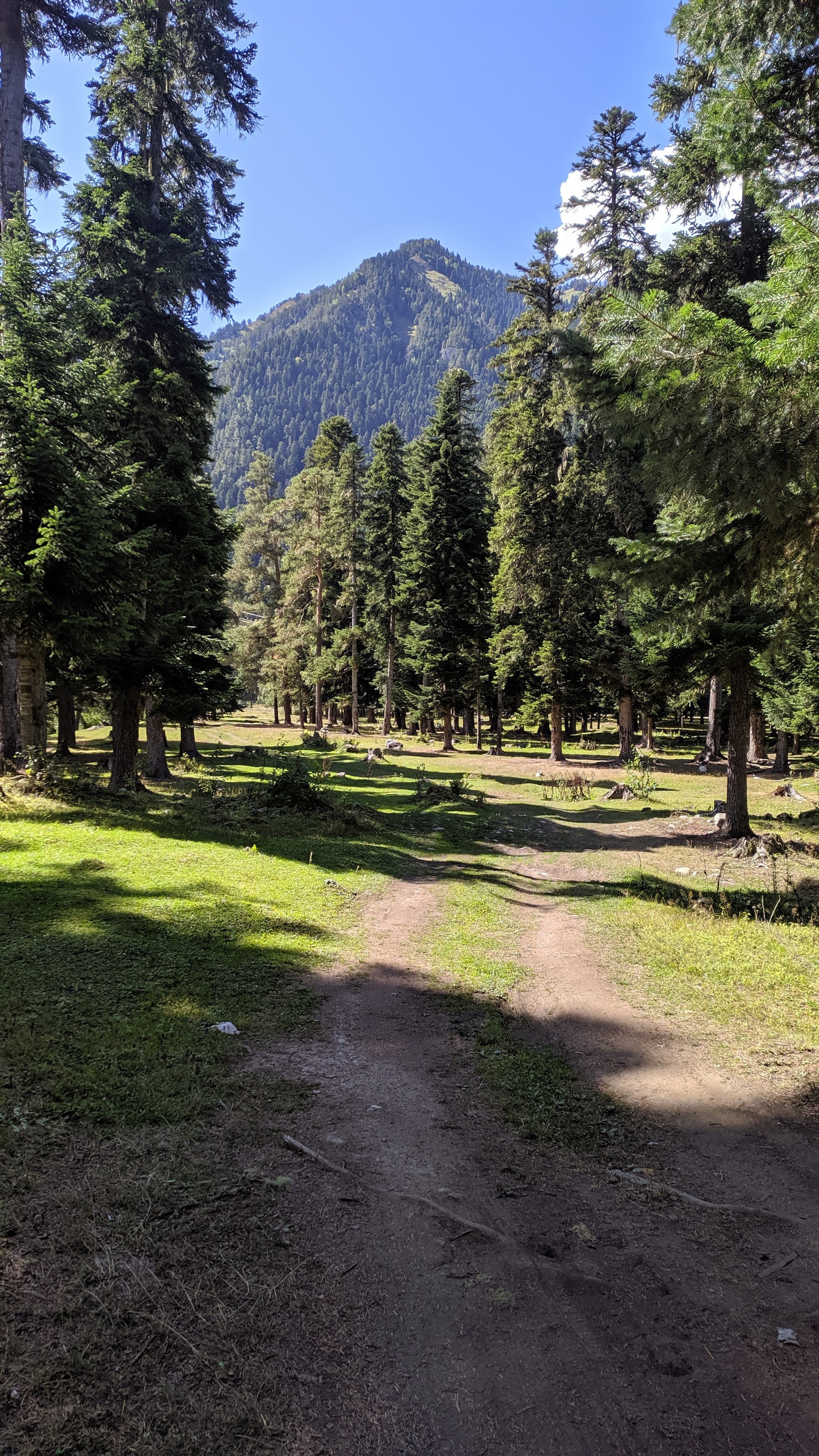 Arkhyz - Nature, The mountains, beauty, Longpost