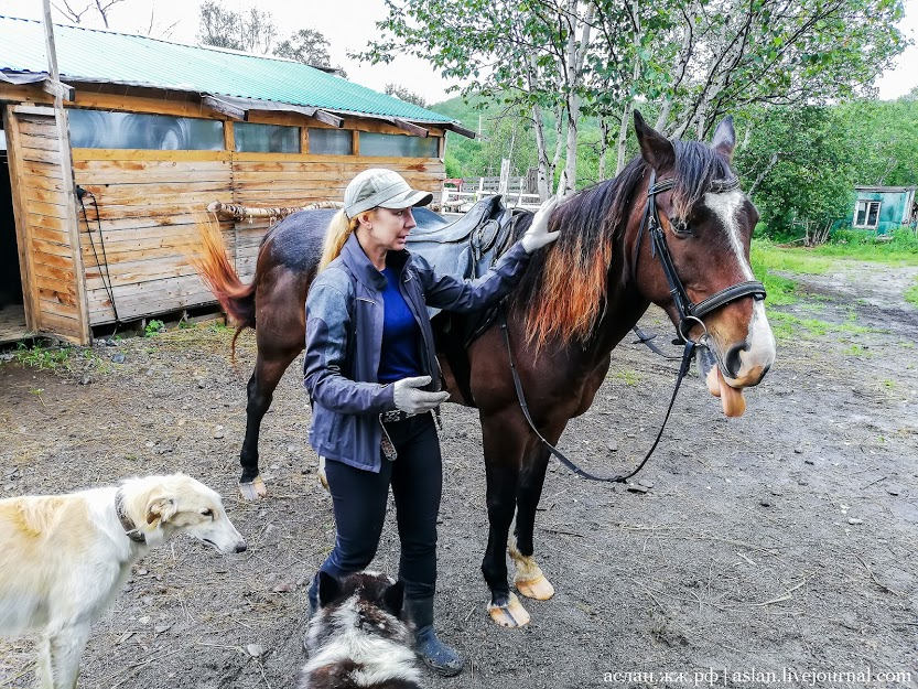 How to develop the Far Eastern hectare. - My, Far Eastern hectare, Kamchatka, Longpost