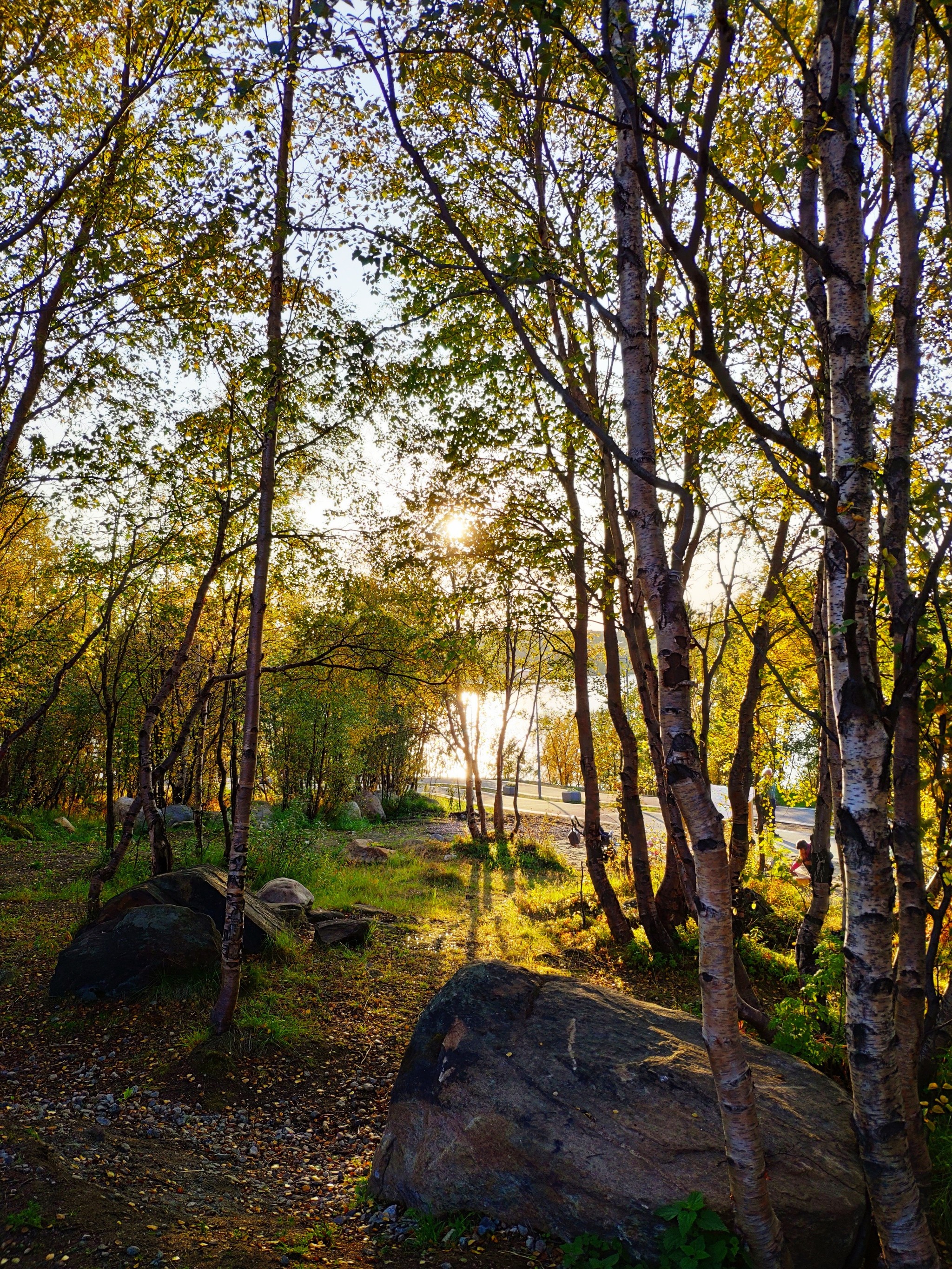 Golden autumn in the Arctic - My, Landscape, beauty of nature, Kola Peninsula, Murmansk, Longpost