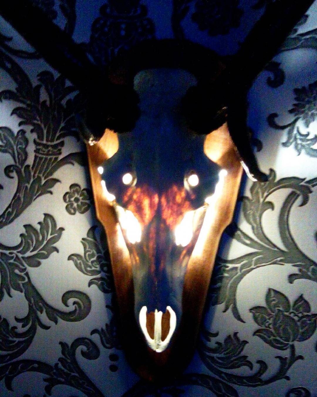 Night lamp made of deer skull - Needlework without process, Lamp, Night light, Handmade, Scull, Longpost