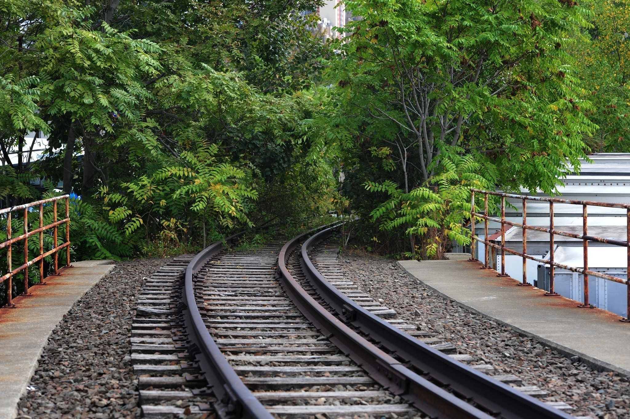 Brazilian Railways. - Railway, Brazil, Longpost, A train