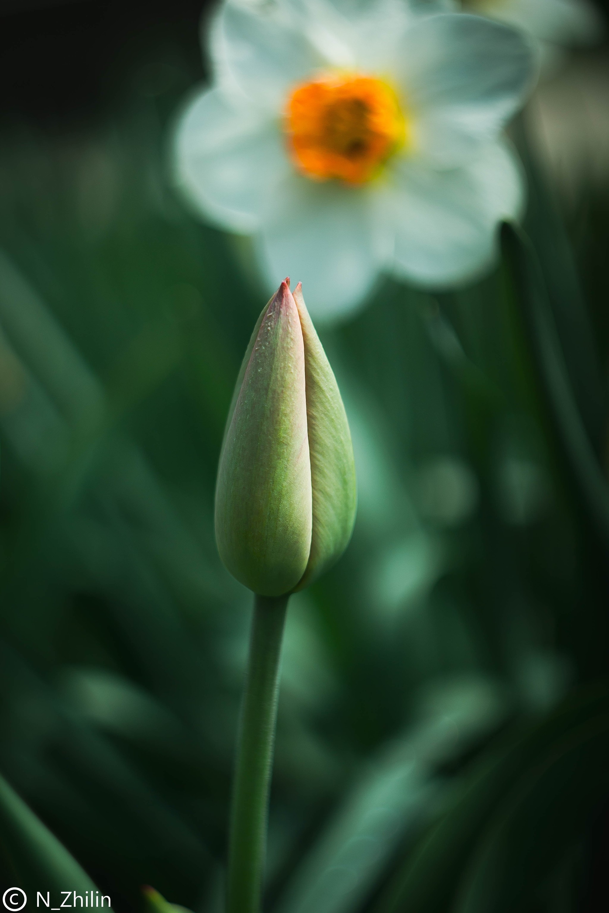 Photo for the soul. P2. Soviet manuals. - My, Manual optics, Beginning photographer, Helios, Helios44-2, Jupiter-37, Longpost, Helios44-2