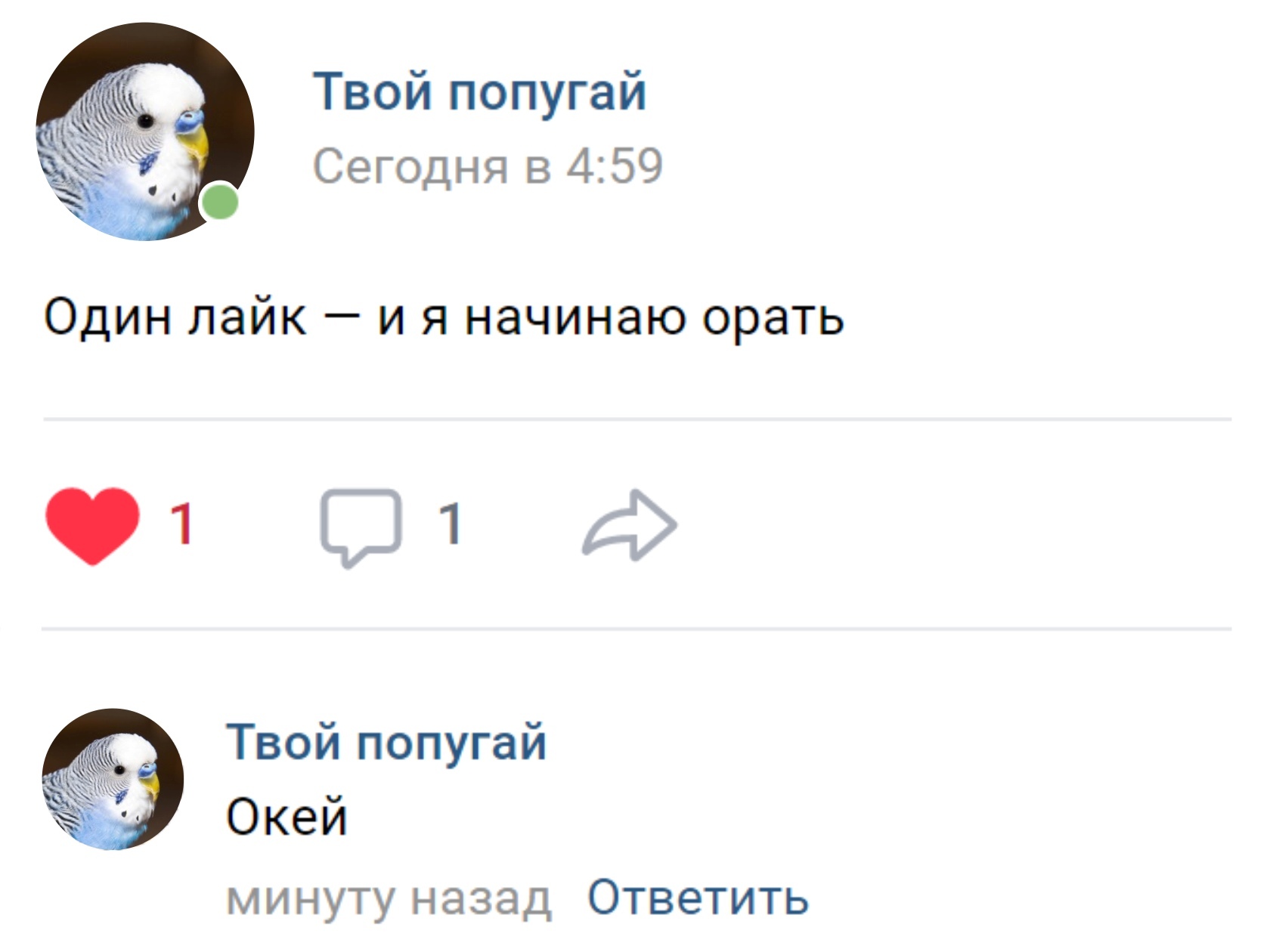 Каждое чёртовое утро: - Моё, Птицы, Юмор, Попугай, Социальные сети