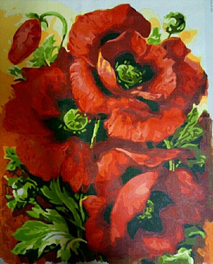 Poppies - My, Paintings by numbers, Poppies, Flowers, Painting, Poppy