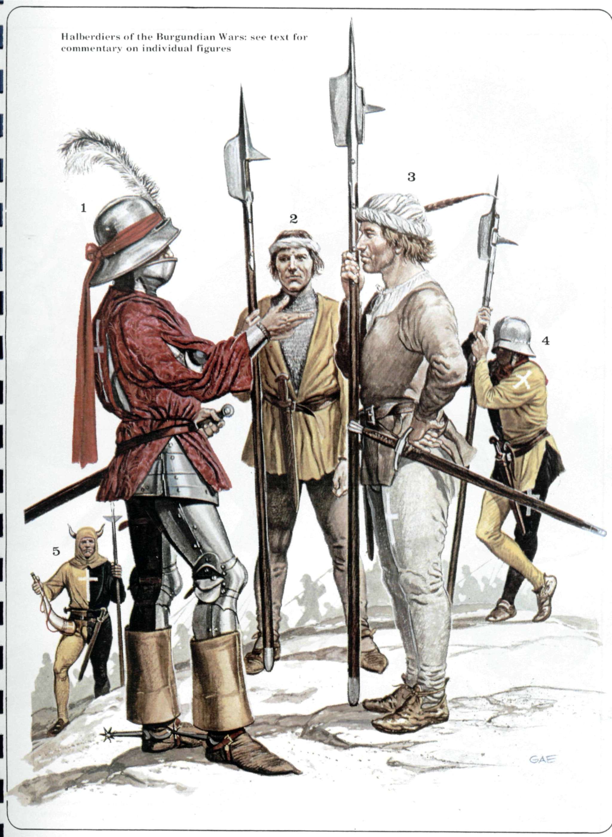A few words about the confrontation between foot soldiers and knights in the Middle Ages - My, Military history, Switzerland, Knight, Infantry, Cavalry, Middle Ages, Scotland, William Wallace, Mat, Longpost, 