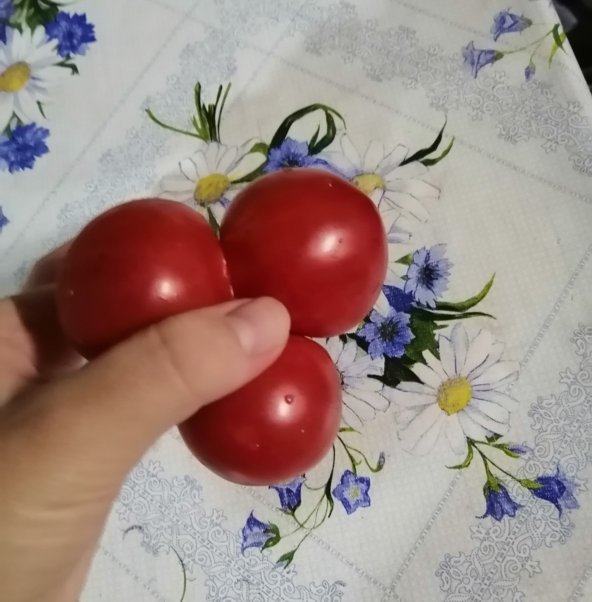 Spinner from nature - My, Tomatoes, Spinner