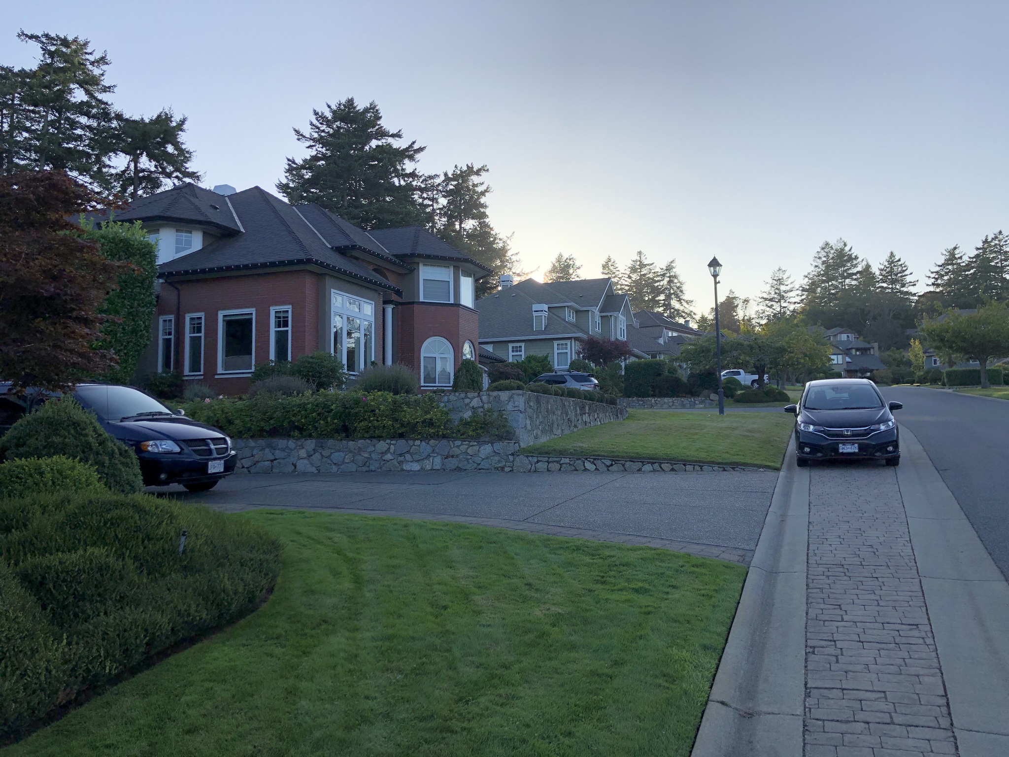 Deer - My, Deer, Town, Road, House, The street, Evening, Canada, Longpost, Deer