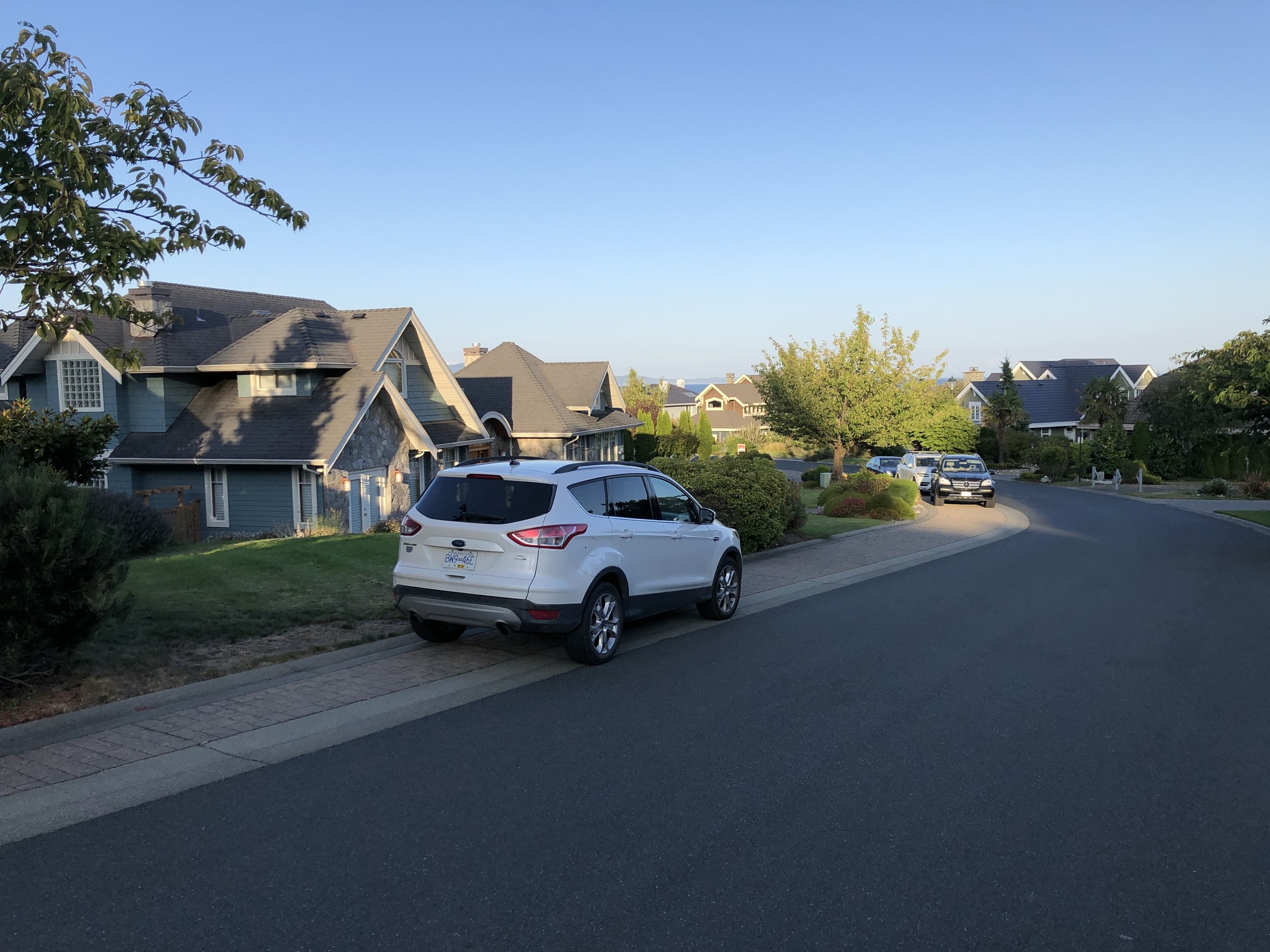 Deer - My, Deer, Town, Road, House, The street, Evening, Canada, Longpost, Deer