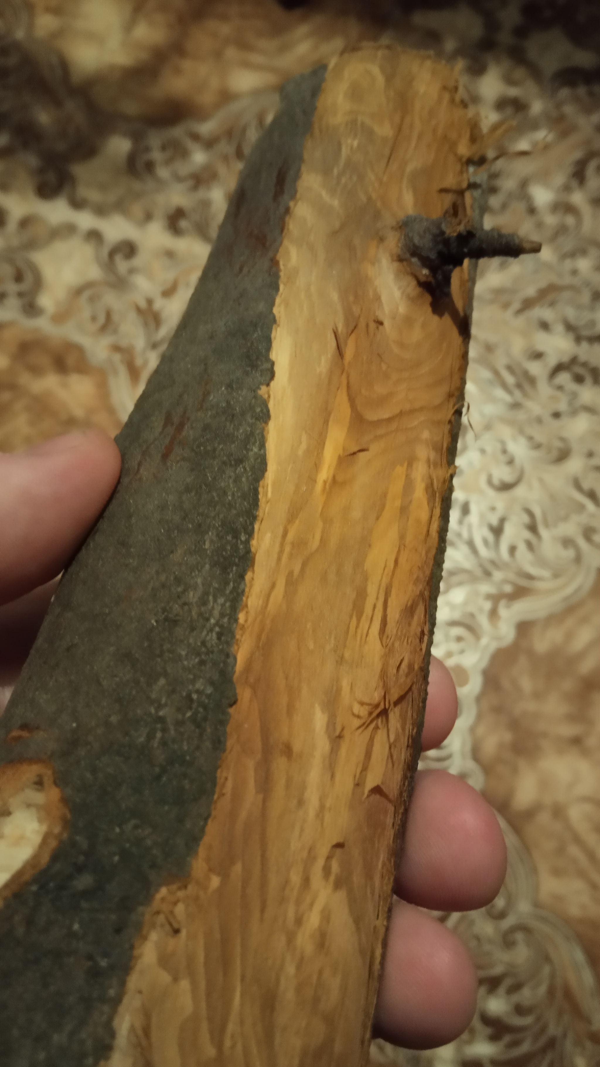 Help identifying wood species please - My, Tree, Carpenter, Longpost