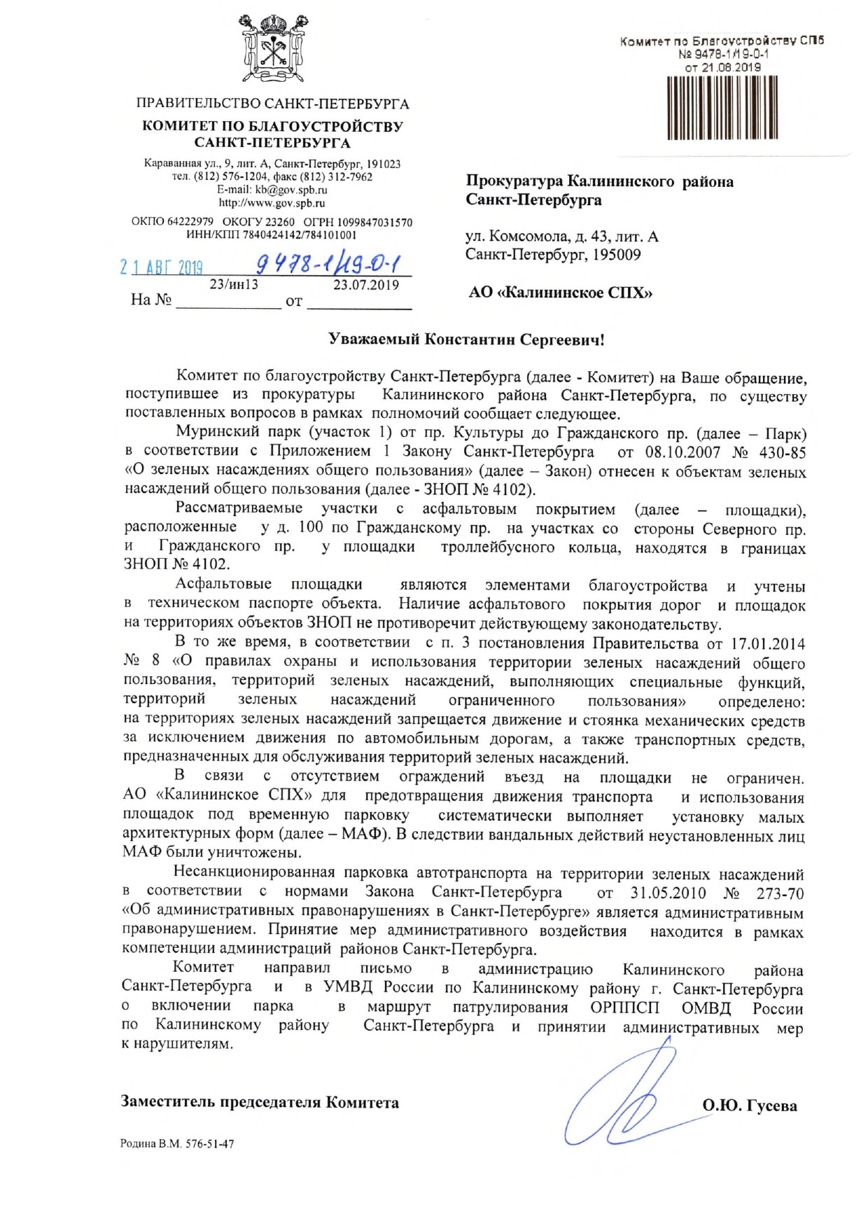 The administration of St. Petersburg refuses to fight illegal parking organized on the territory of Murinsky Park. Refining with asphalt. - My, Murinsky park, Lawlessness, Longpost