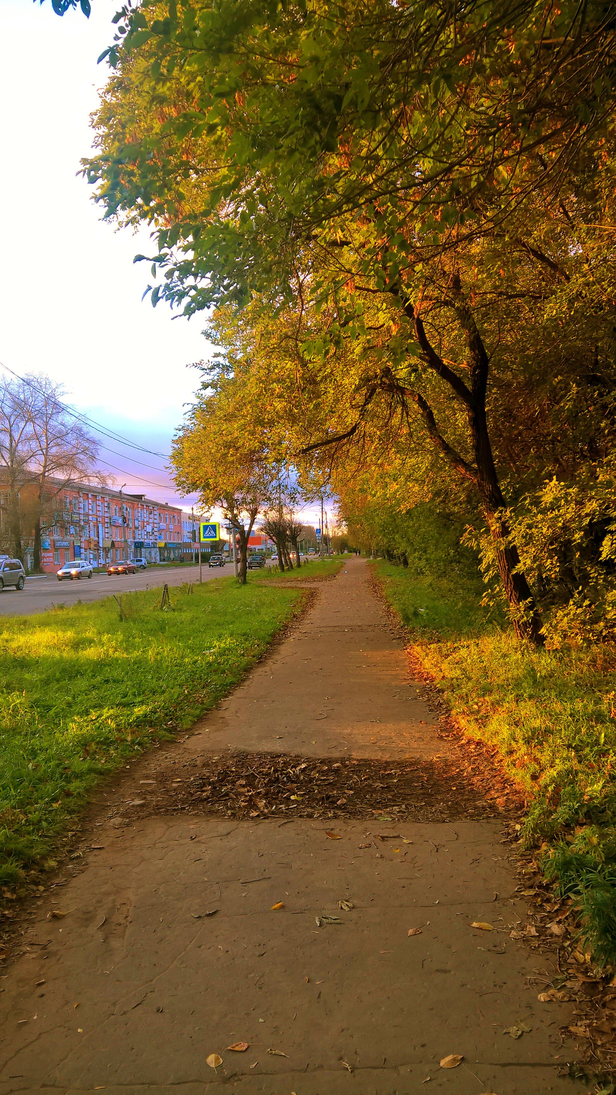 Autumn - My, Дальний Восток, Khabarovsk region, Komsomolsk-on-Amur