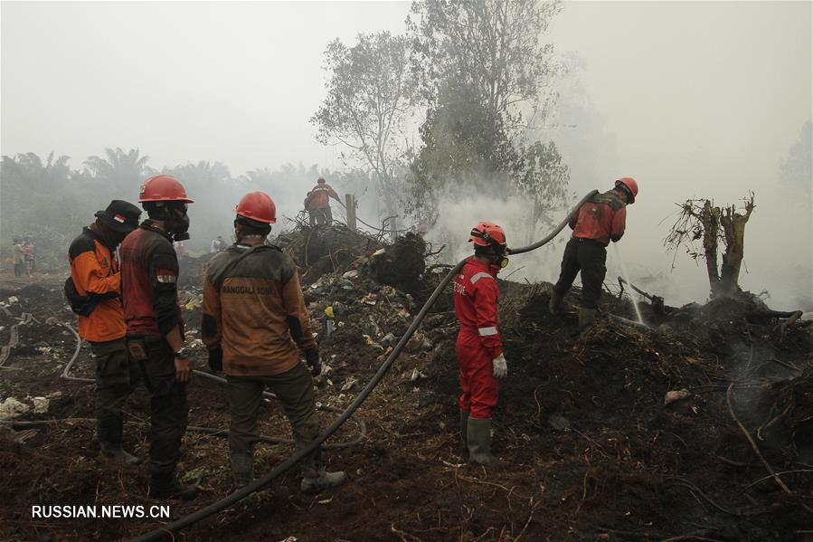 Massive fires in Indonesia - , Fire, Indonesia, Peace, Irresponsibility, Longpost, Terrorism