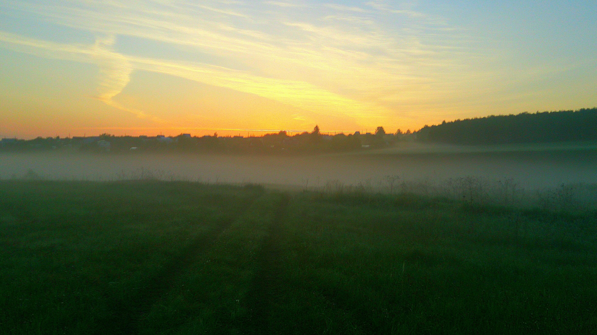 Fishing in the fog - My, Fog, Nature, Mobile photography, Longpost