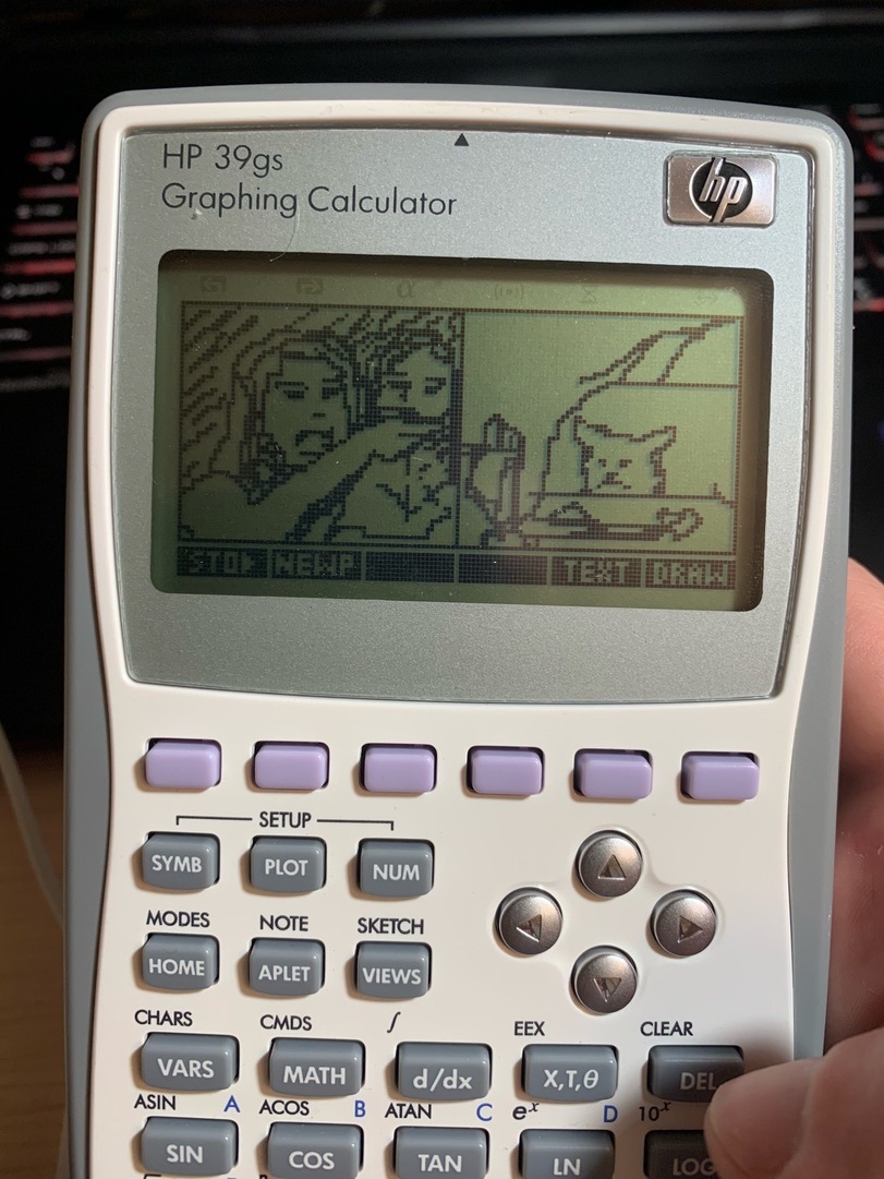 Graphics - Memes, Graphics, Calculator, cat, Two women yell at the cat