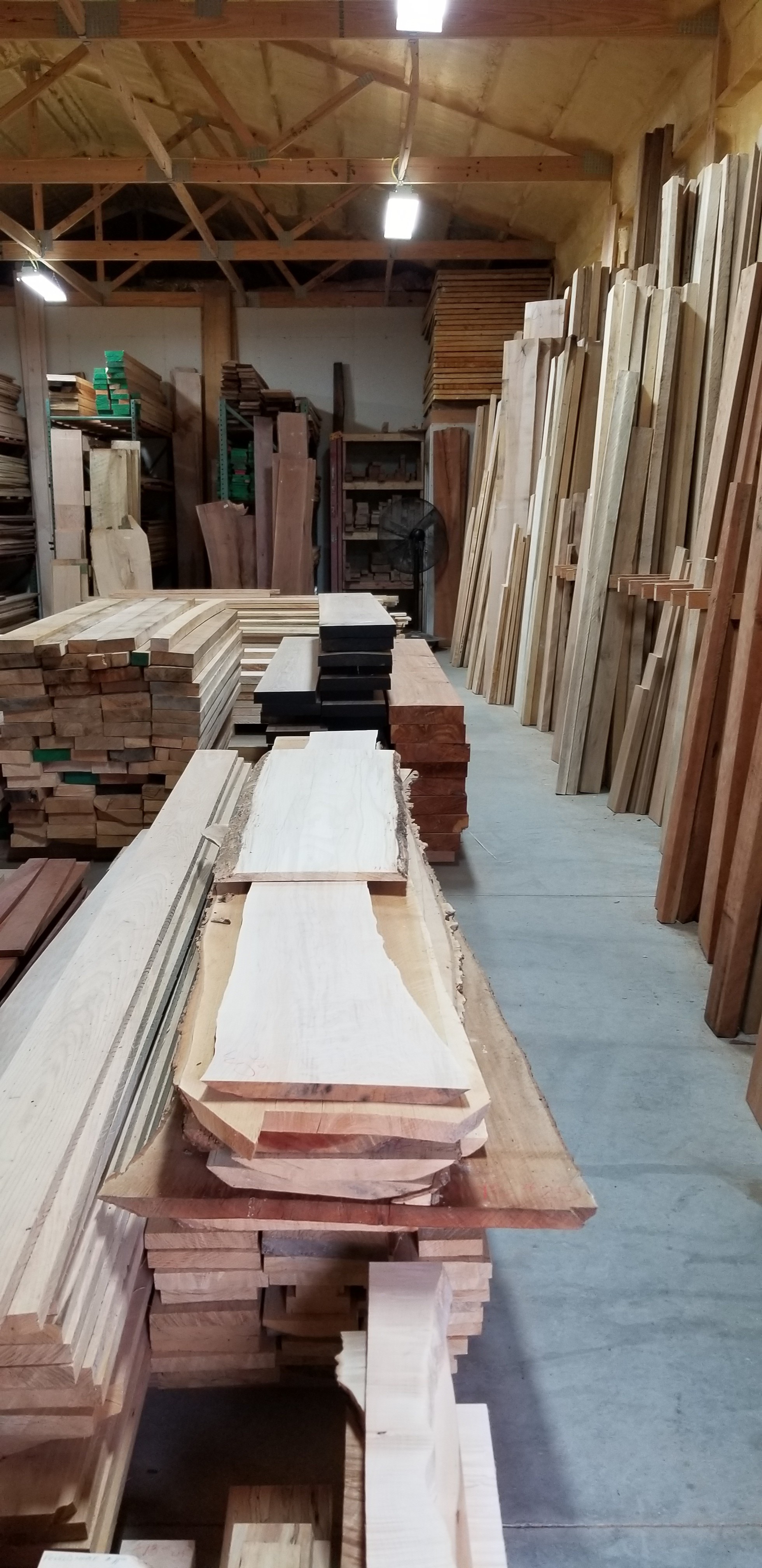 About the choice of forest - My, Tree, Woodworking, Longpost