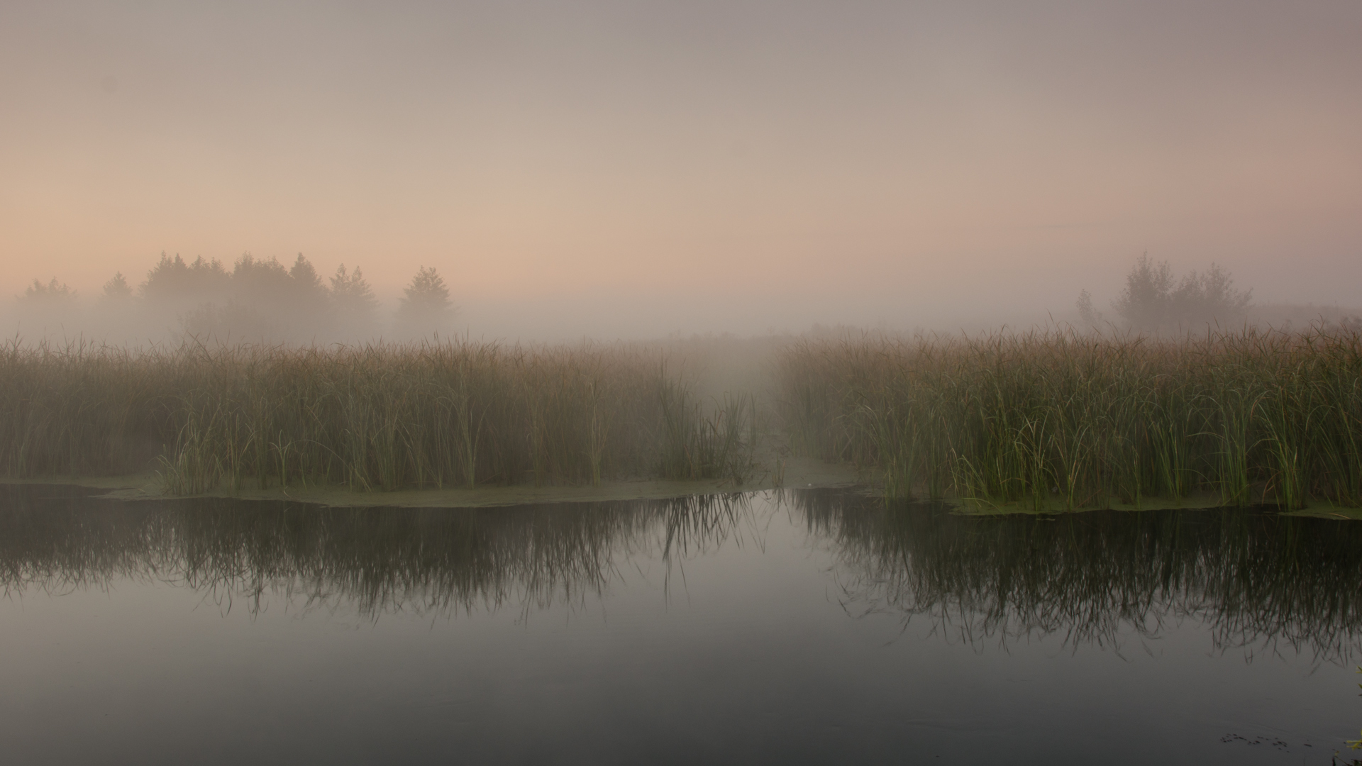 Early in the morning - My, The photo, Beginning photographer, Tambov, Tambov Region, Tsna river, Morning, Fog, Fishermen, Longpost