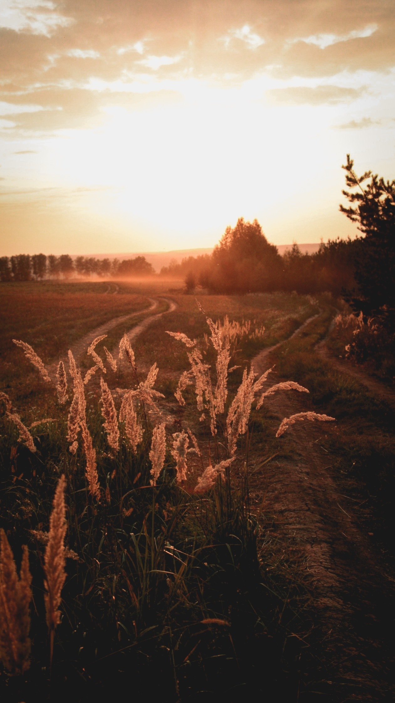 Autumn mood.. - Village, Autumn, The photo, Longpost