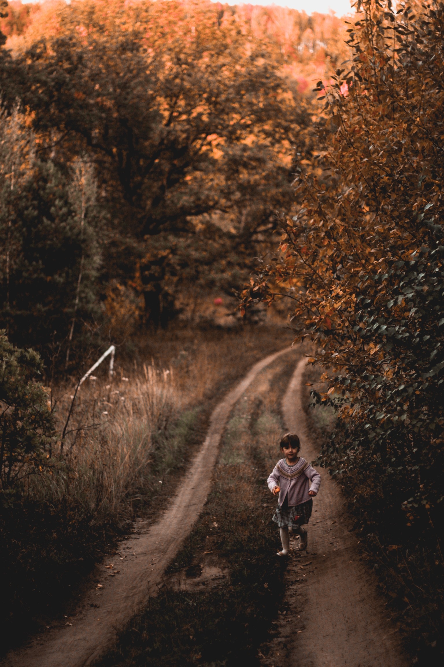 Autumn mood.. - Village, Autumn, The photo, Longpost