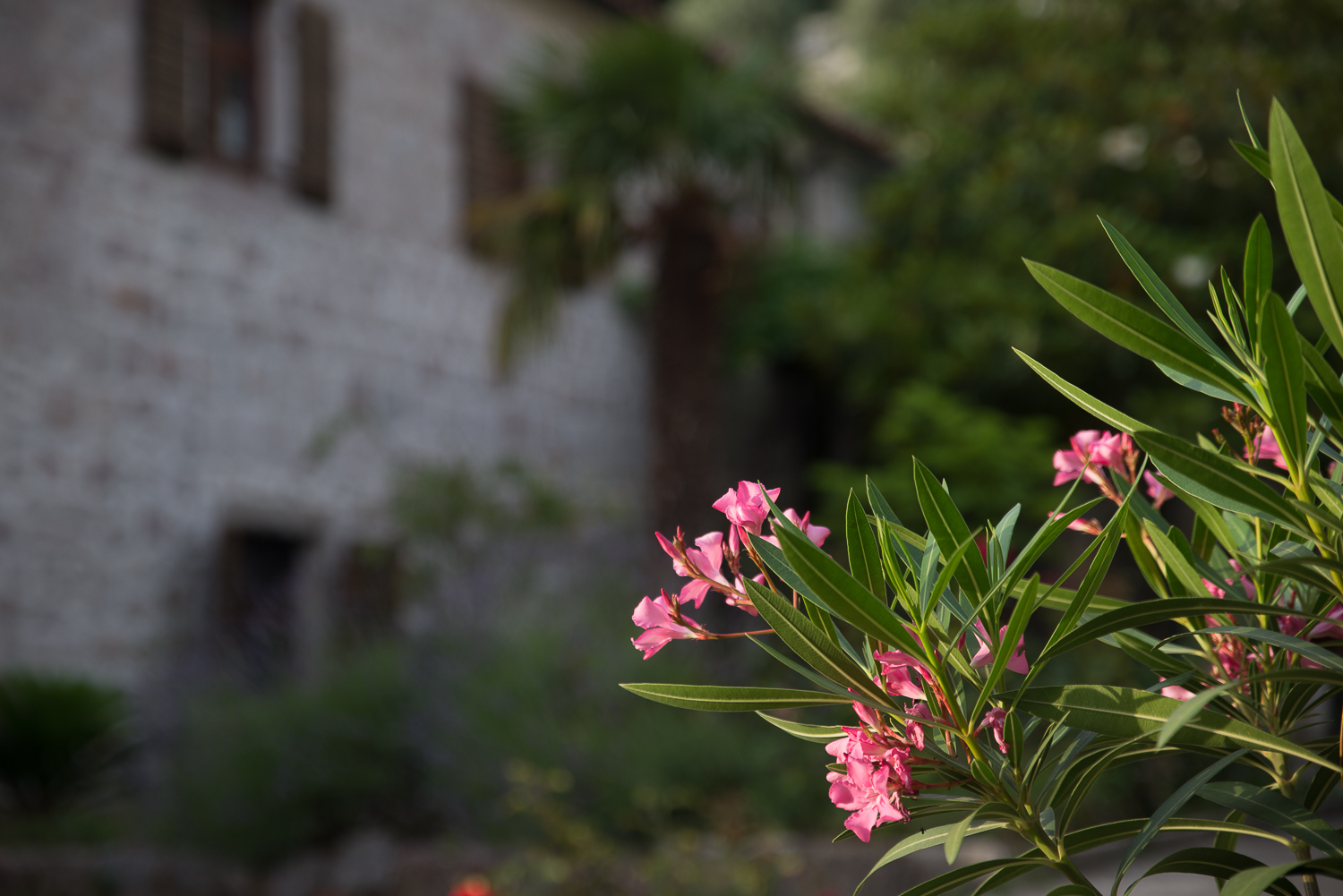 Monastery Gradiste, Montenegro. - My, Nikon D610, Montenegro, Monastery, Longpost