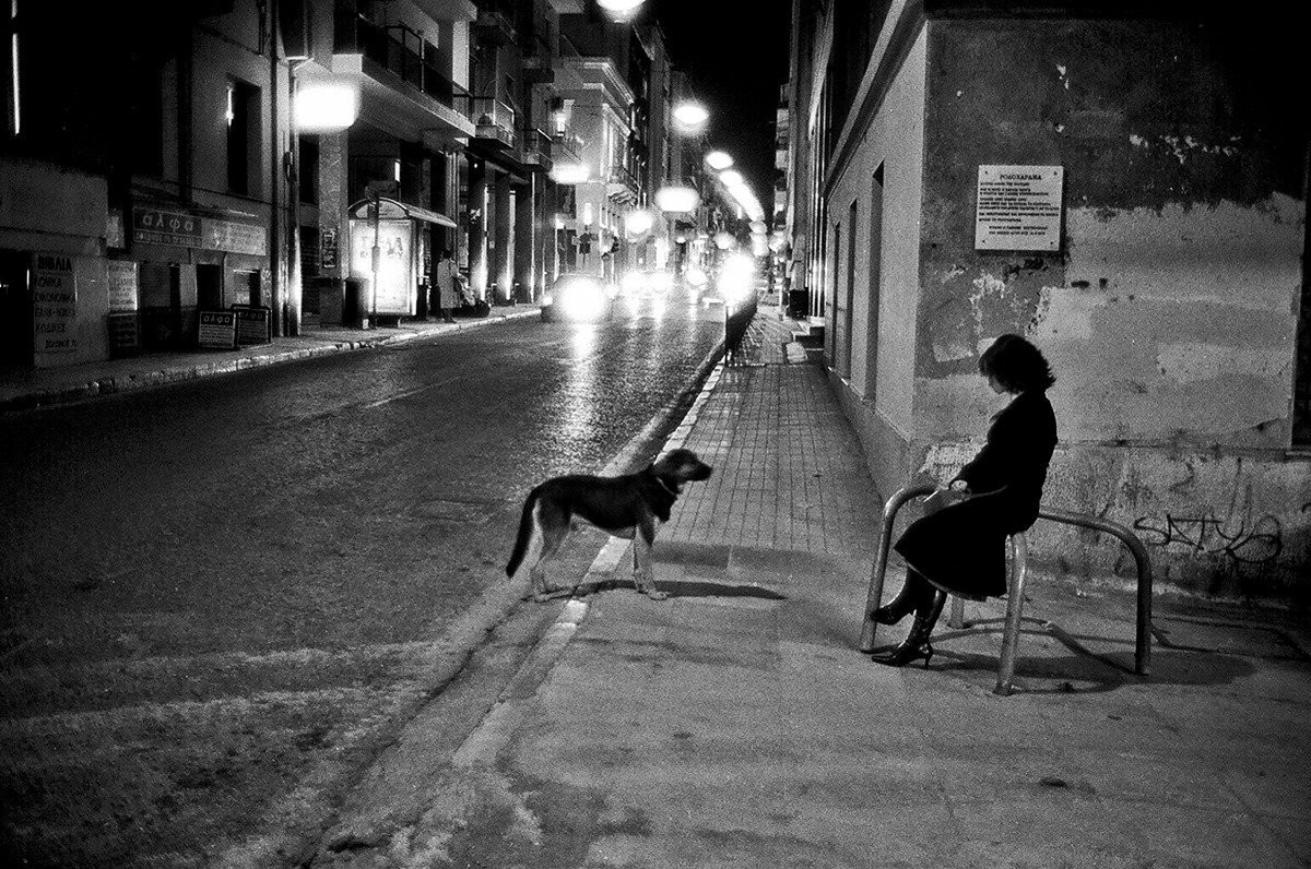 Night street - Female, Dog, Night street, Women