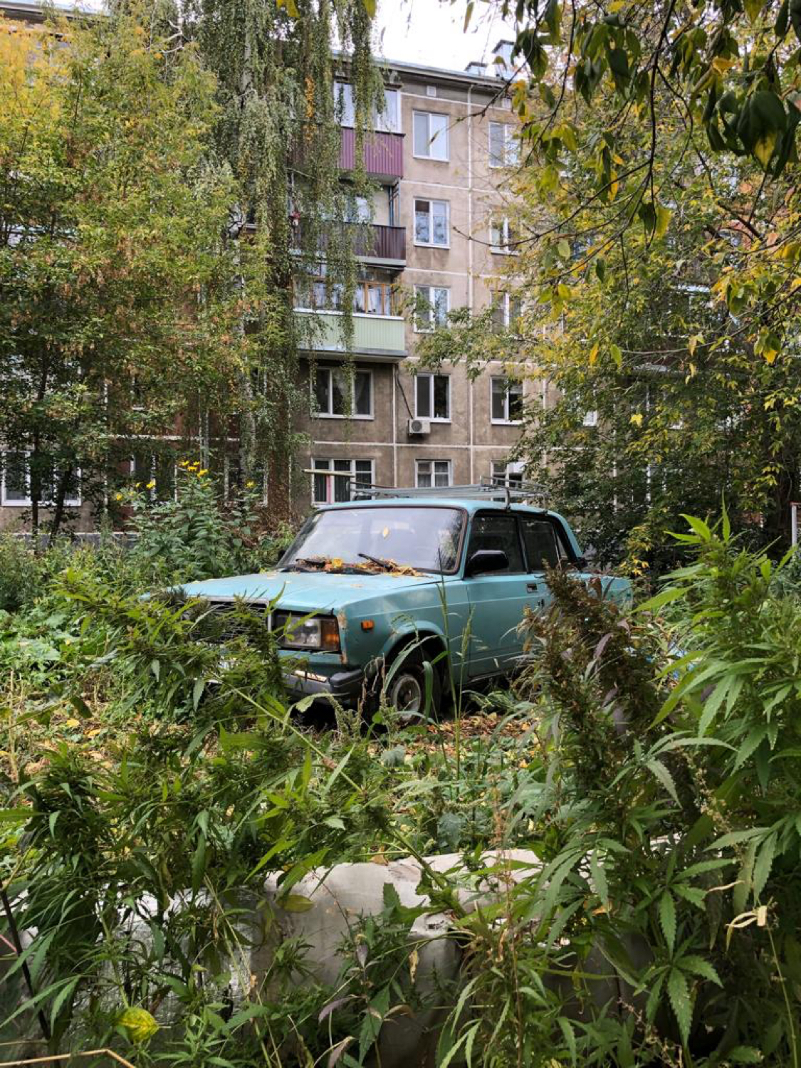 Kazan courtyard, atmospheric photo - The photo, Courtyard