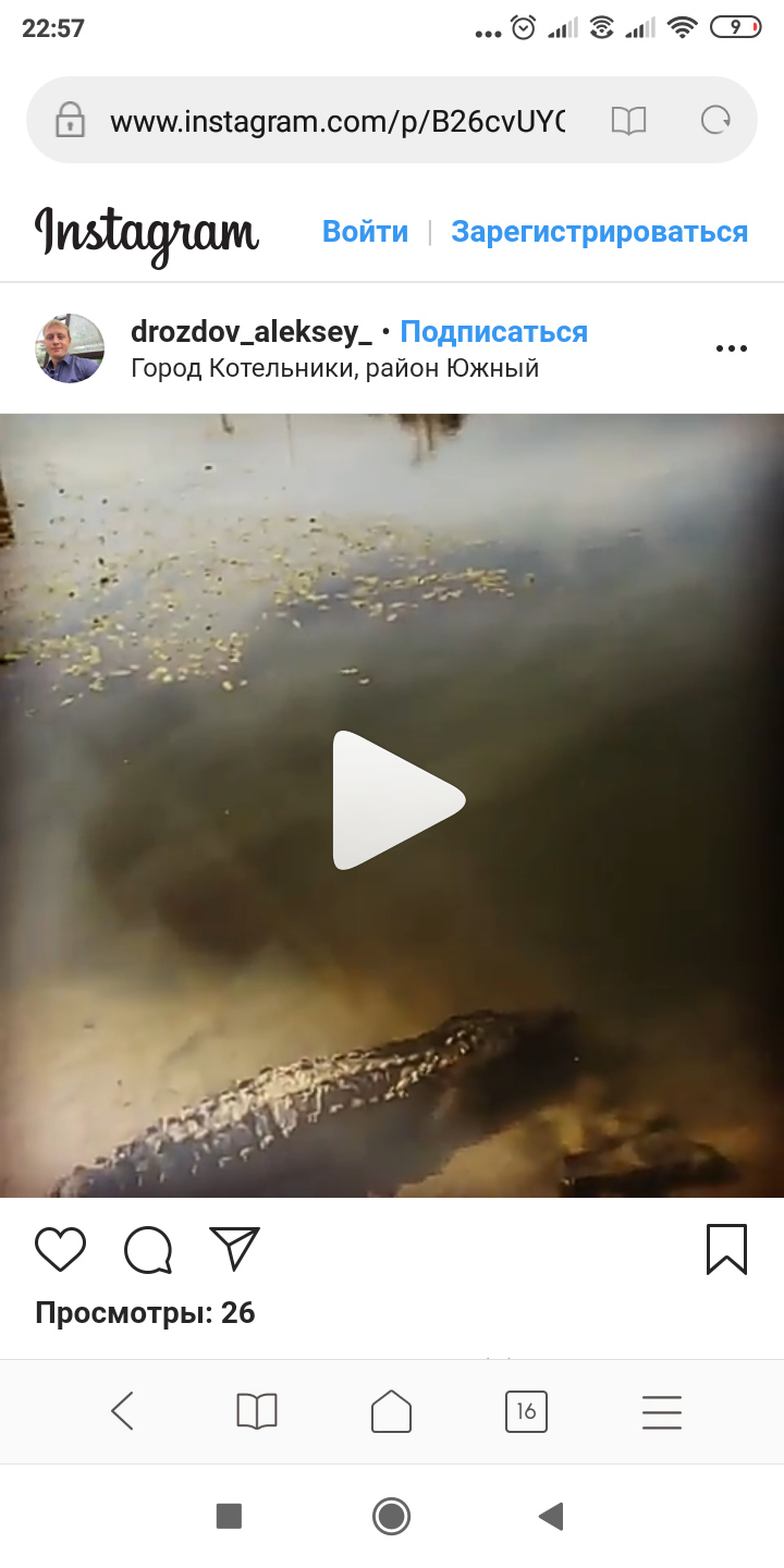 In our area ... a crocodile - Crocodile, Fishing, Pond, In a still whirlpool, Longpost, Crocodiles