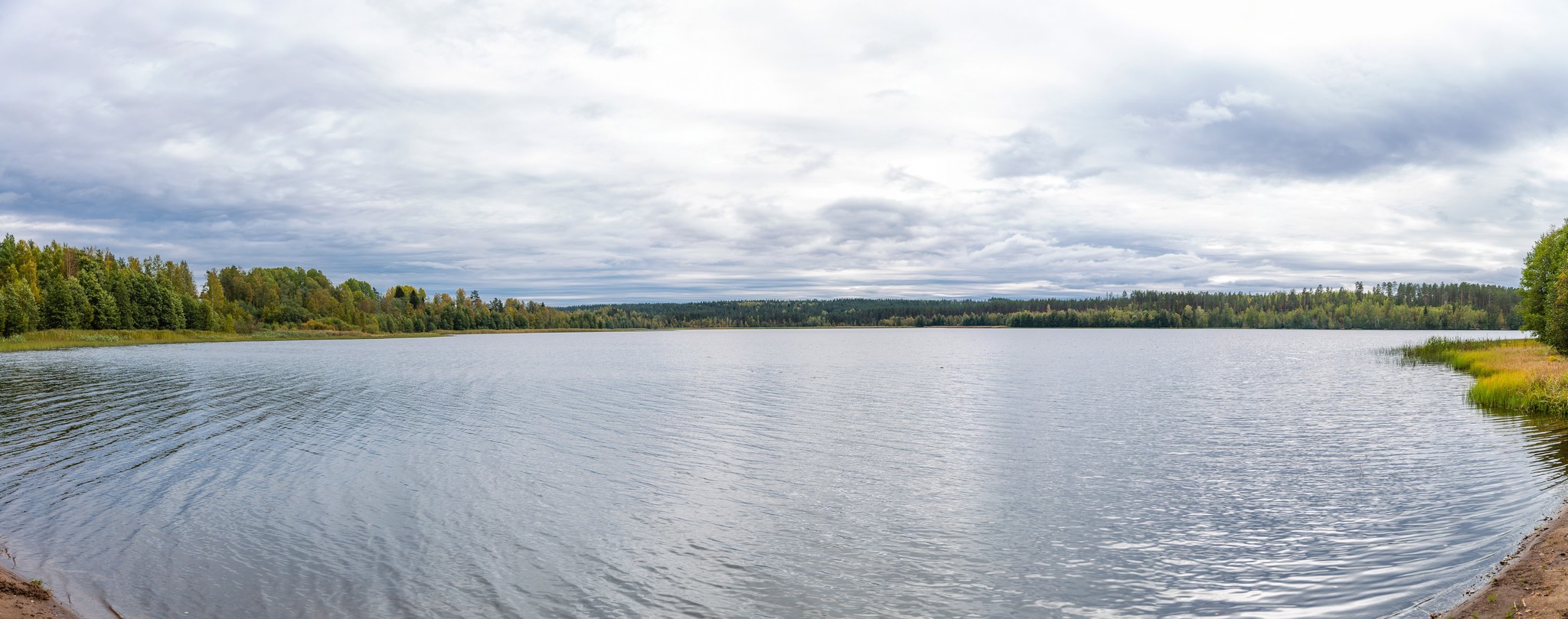 Business trip near St. Petersburg - My, Landscape, Leisure, Leningrad region, Lake, Forest, Longpost