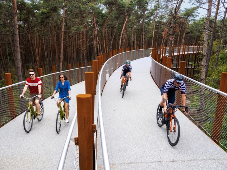 Unusual bike path in the middle of the forest in Belgium - Belgium, Bike path, Video, Longpost