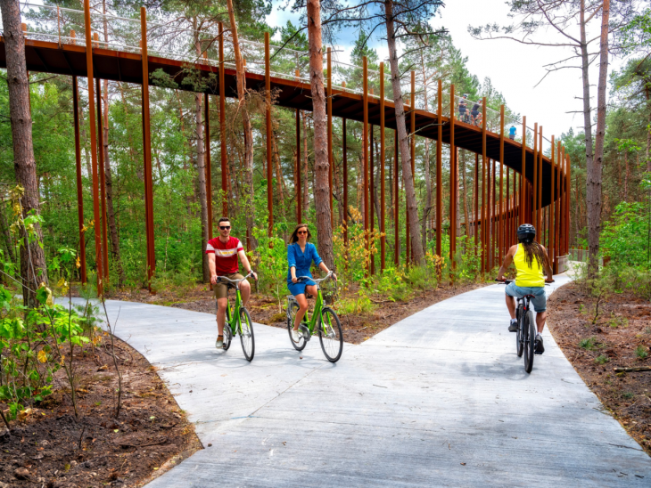 Unusual bike path in the middle of the forest in Belgium - Belgium, Bike path, Video, Longpost