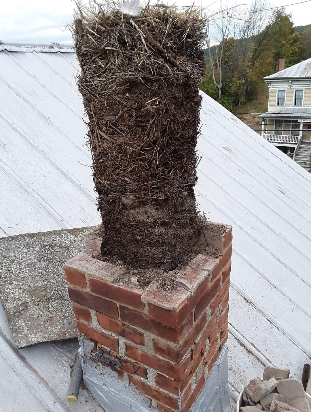 While demolishing an unused chimney, I discovered several generations of accumulated bird nests - Reddit, Birds, Nest, Pipe, Bake