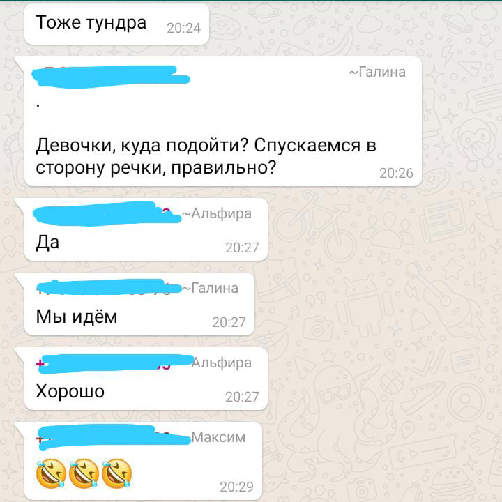 Типичные будни деревенского чата - Моё, Деревня, Чат, Whatsapp, Типичные будни, Длиннопост