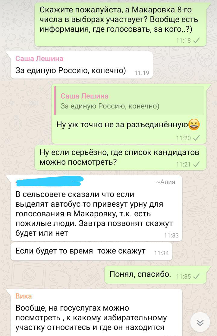 Типичные будни деревенского чата - Моё, Деревня, Чат, Whatsapp, Типичные будни, Длиннопост