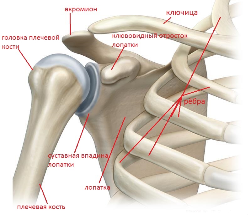 Arthroscopy - My, The medicine, Medicine in Russia, Longpost, Arthroscopy