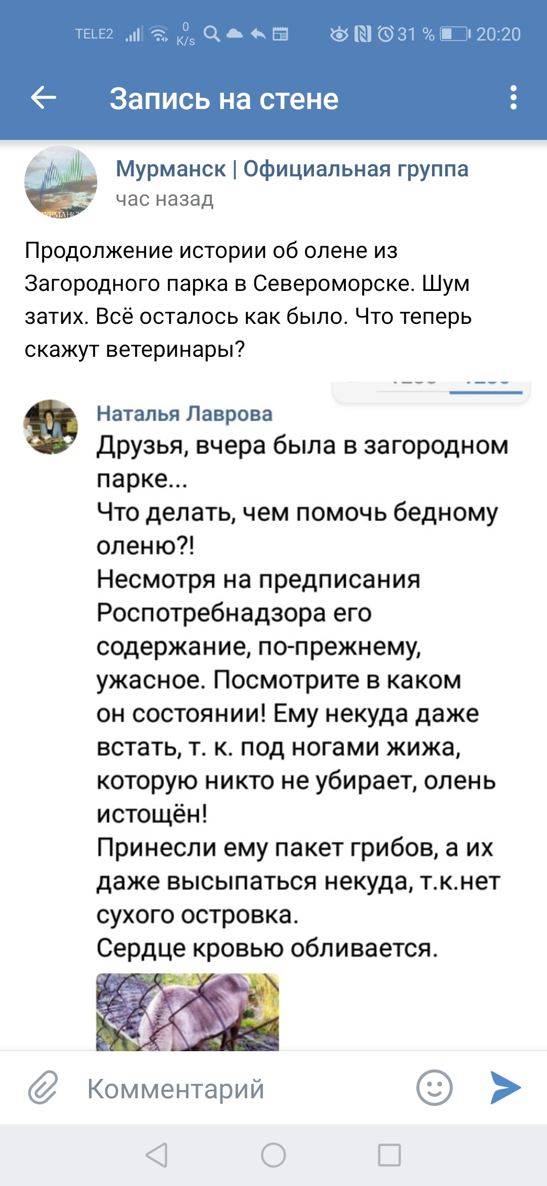 В Североморске в Загородном парке издеваются над животными! Ветслужба и  администрация бездействуют. | Пикабу