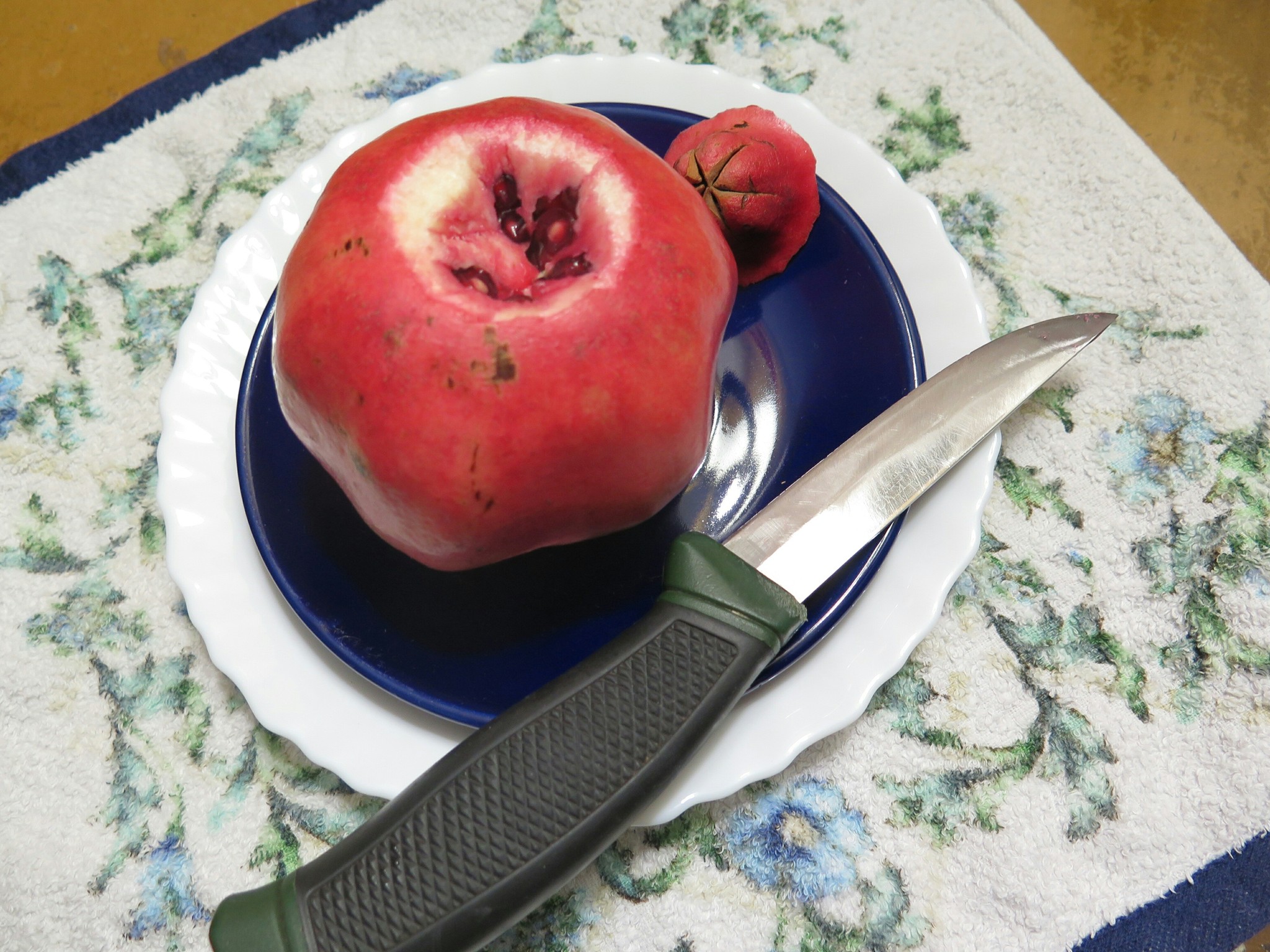 Death of a pomegranate. - My, The photo, Garnet, Grenades, Knife, Longpost, Hand grenade