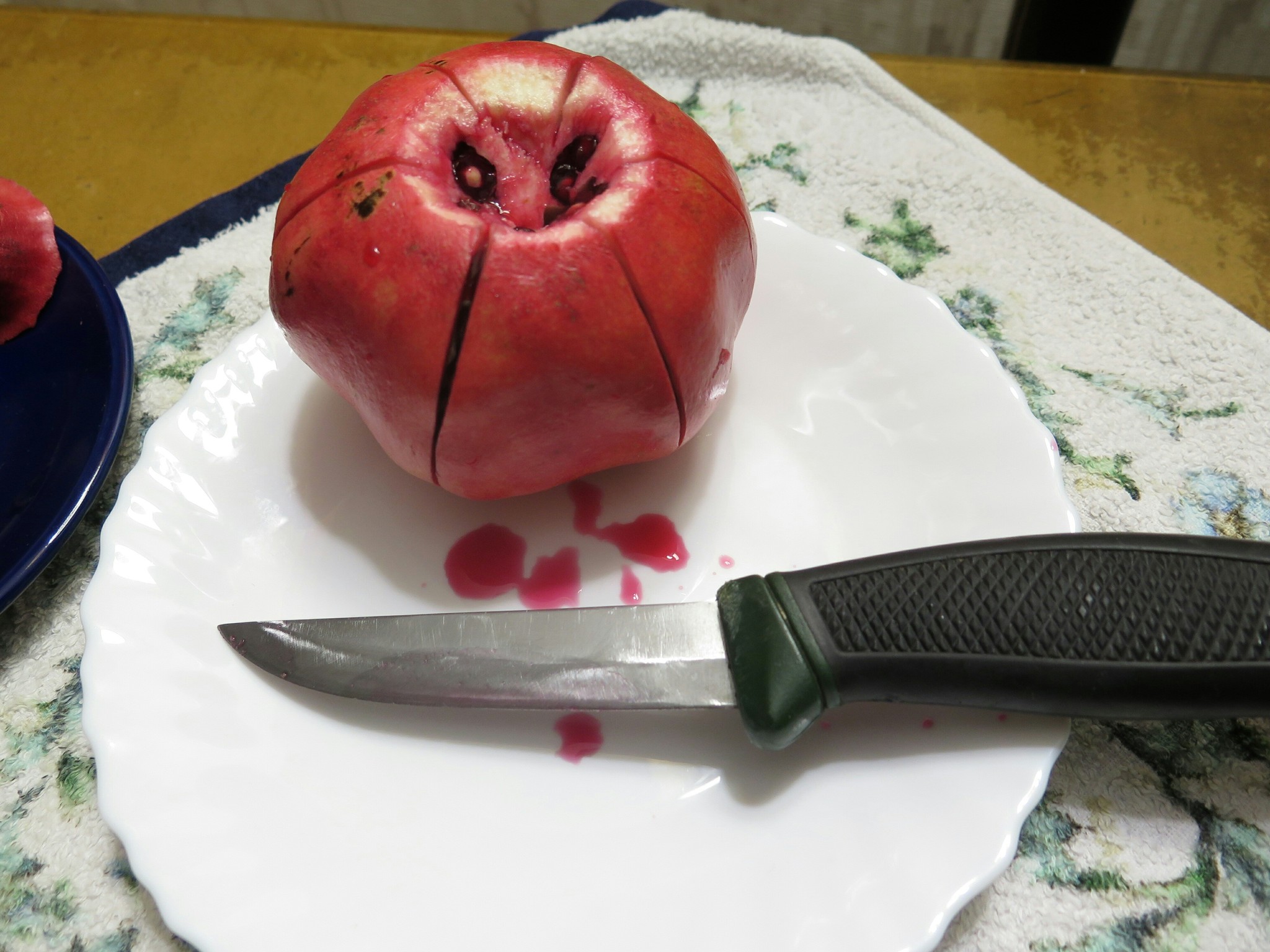 Death of a pomegranate. - My, The photo, Garnet, Grenades, Knife, Longpost, Hand grenade